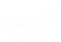 image-text image